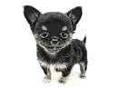 test0524